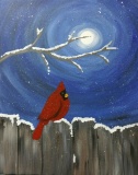 Winter Moonlit Cardinal
