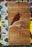 Wood Birch and cardinal (9.5 x 13.5)