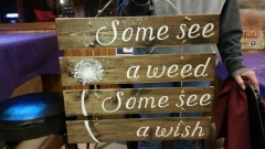 Wood Some see a Weed, Others see a wish -separate(19 inches)