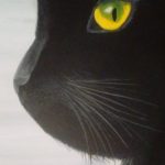 Black Cat (EC Studio)