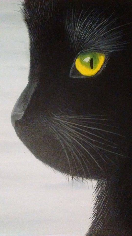 Black Cat (EC Studio)
